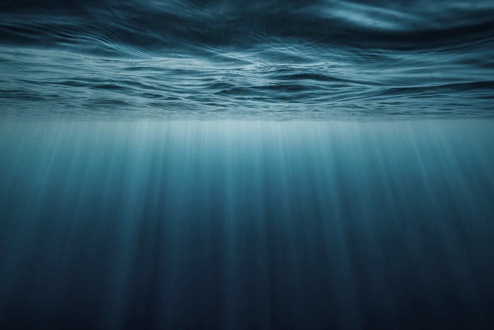 Until now, yachting has damaged ocean health. It's up to us to redress the balance and reduce our impact