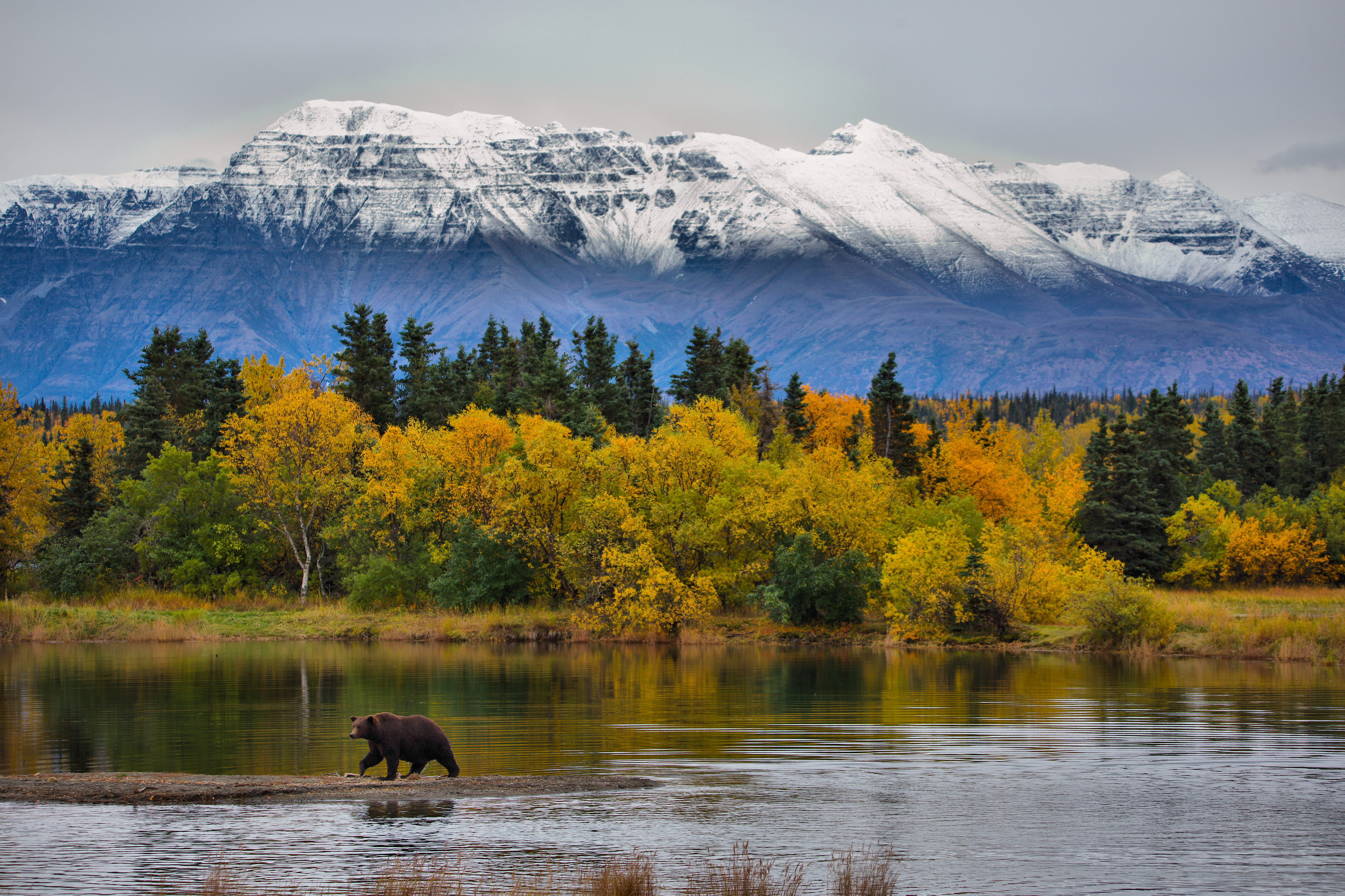 Alaska yacht charter