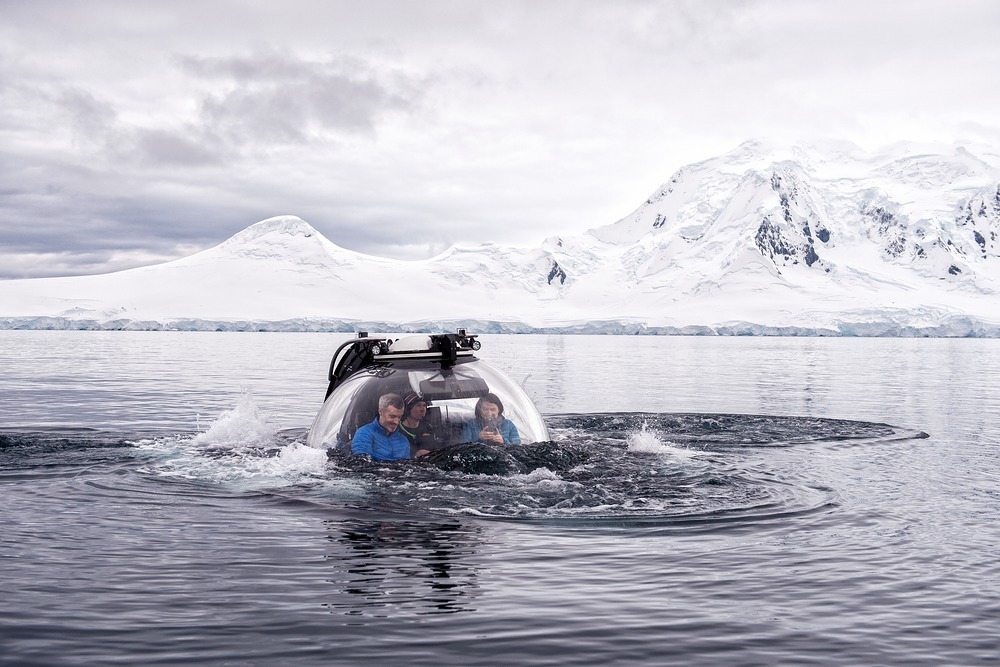 Explore the underwater wildlife 