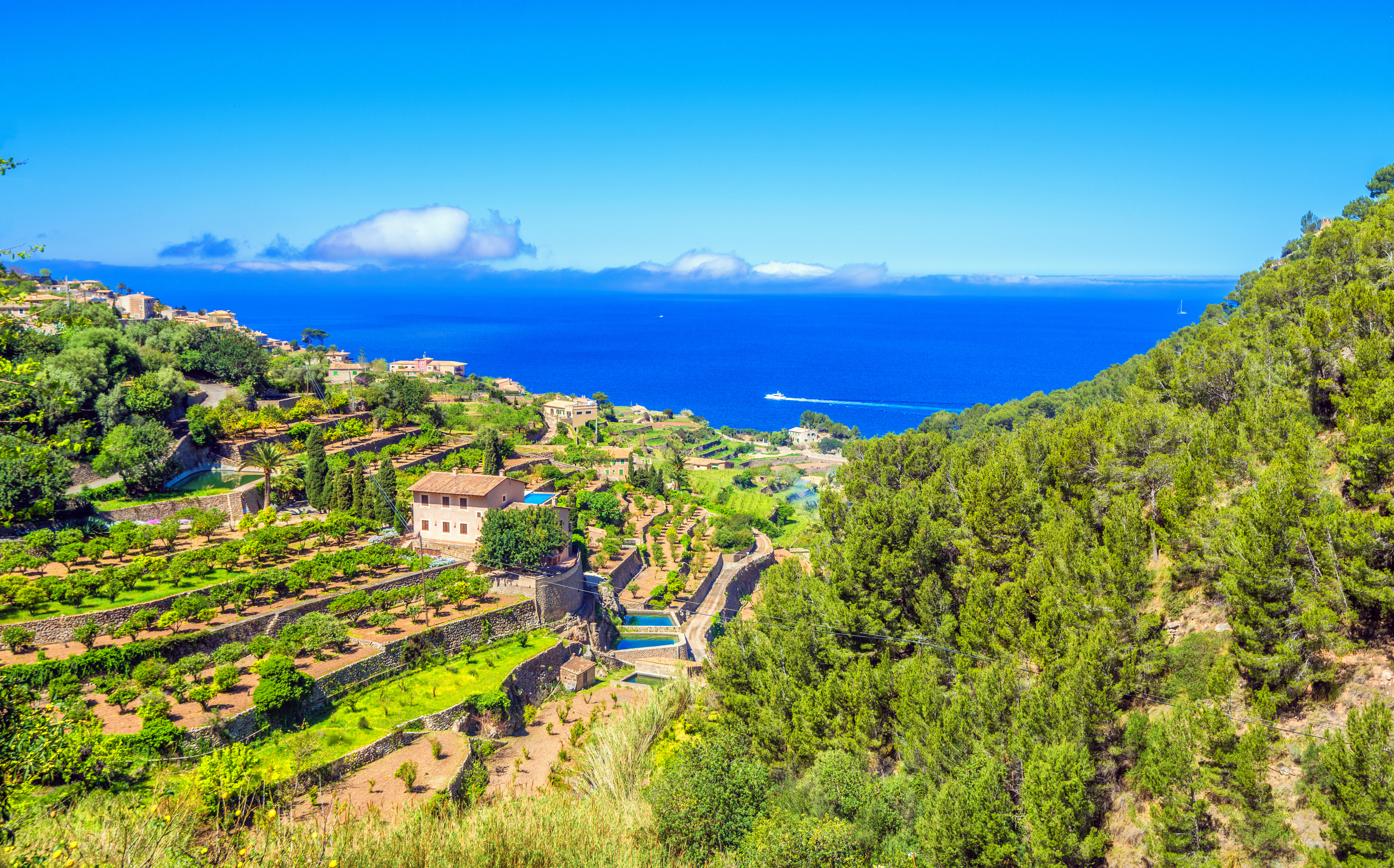 Banyalbufar winery mallorca