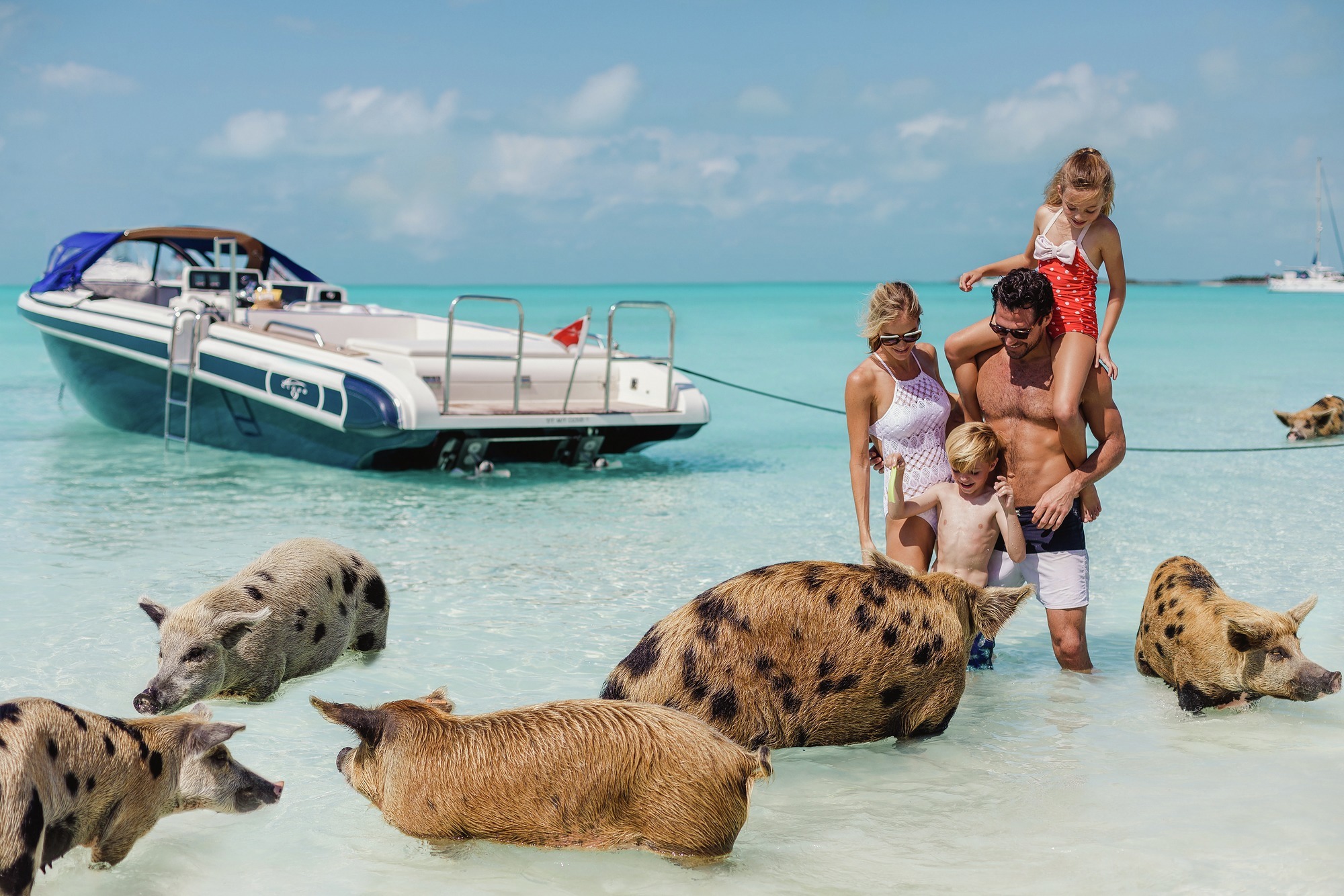 Staniel Cay swimming pigs Bahamas