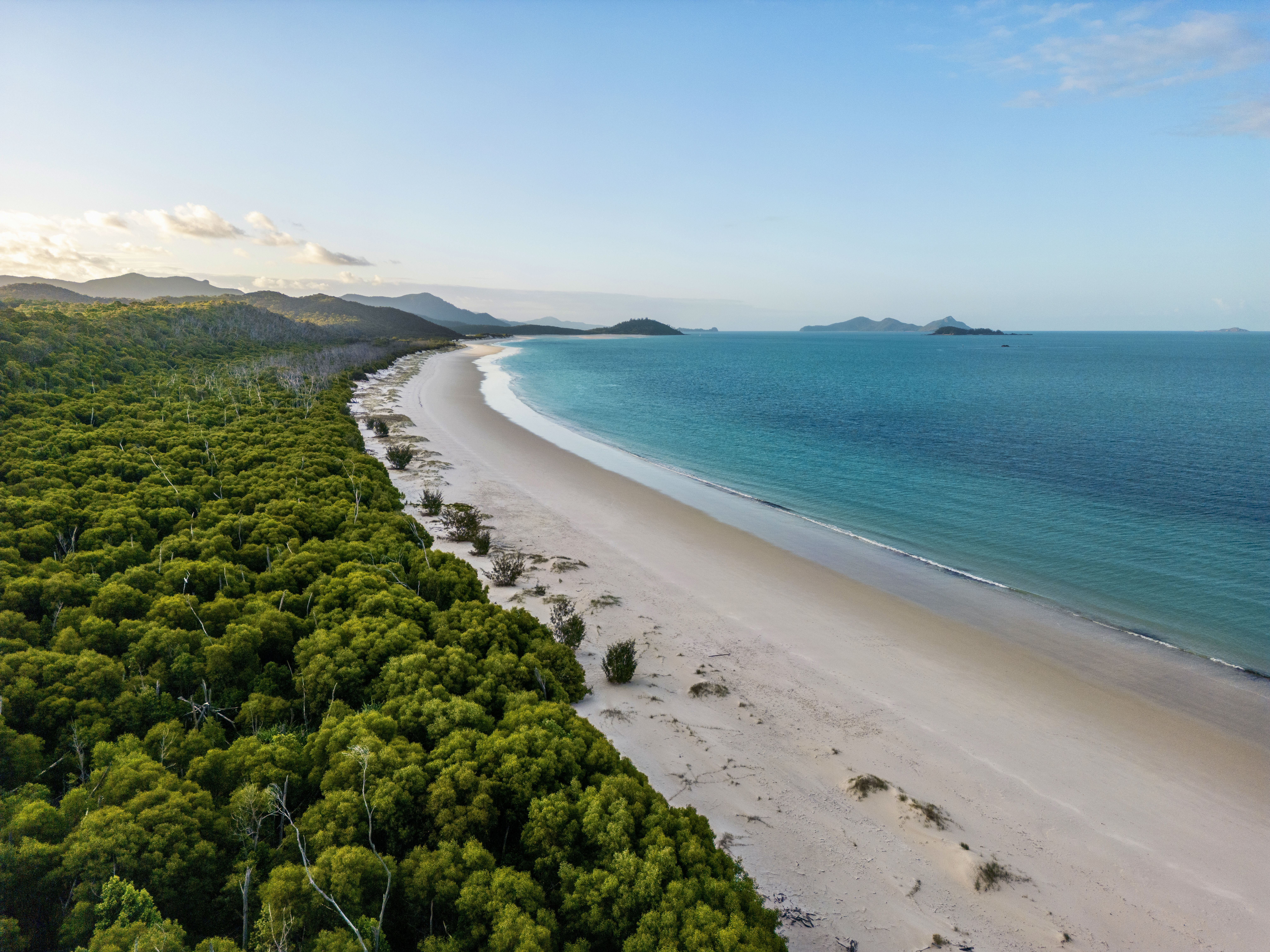 Caribbean beach