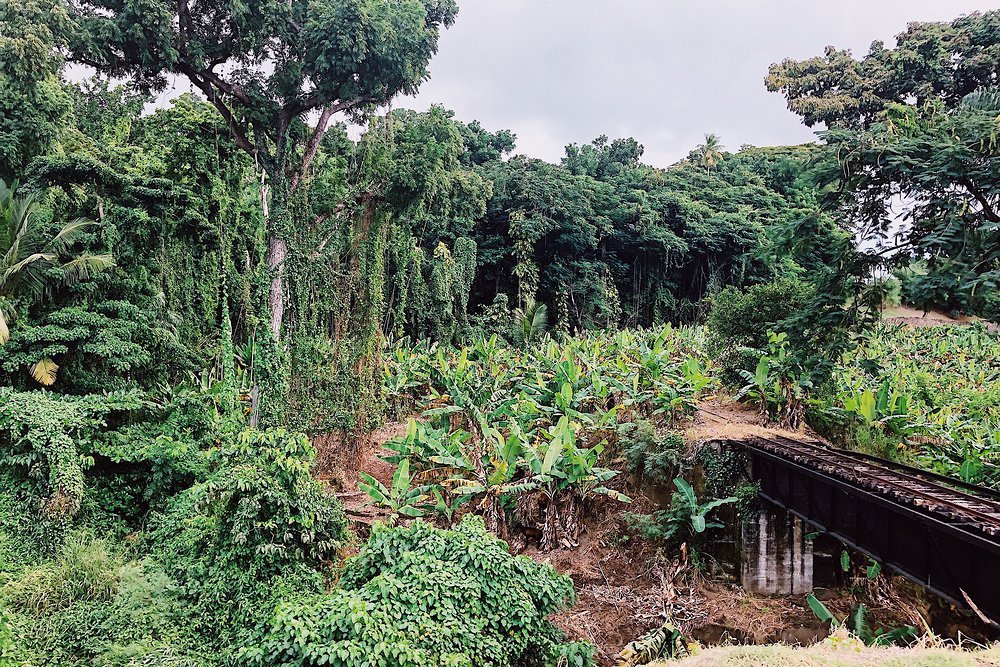 St Kitts' Scenic Railway winds through the rainforest and over the hills delivering sensational views around every corner