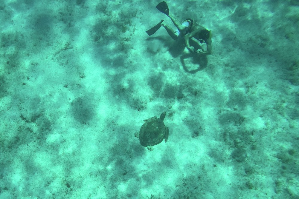 Buck Island lies off the north-east coast of St Croix, USVI
