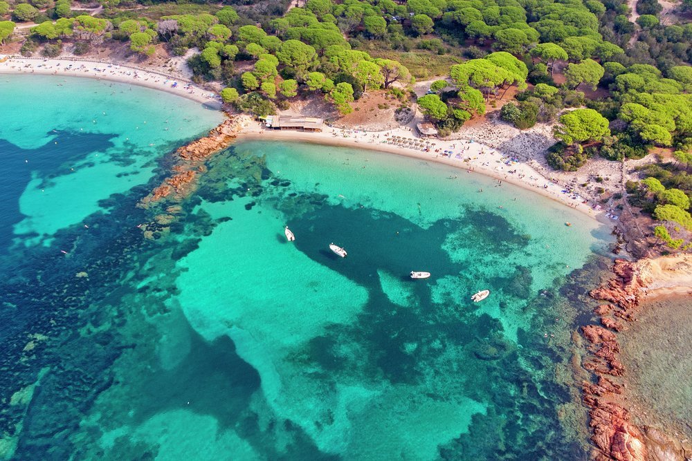 The south east Corsican beach of Palombaggio, near Porto Vecchio, is justly renowned as one of Europe's finest, with its umbrella pines, orange rocks, white sand and gin-clear waters