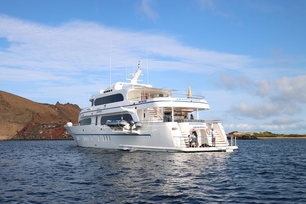 From USD 165,000 per week