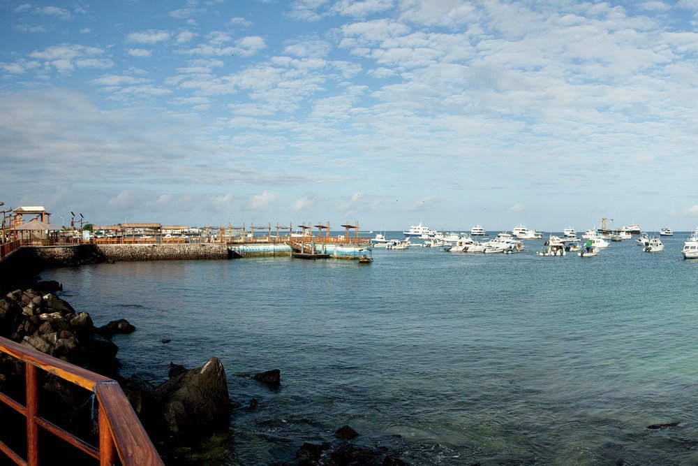 Puerto Baquerizo Moreno used to be called Darwin Bay, and it's believed to be the place where the renowned naturalist first landed