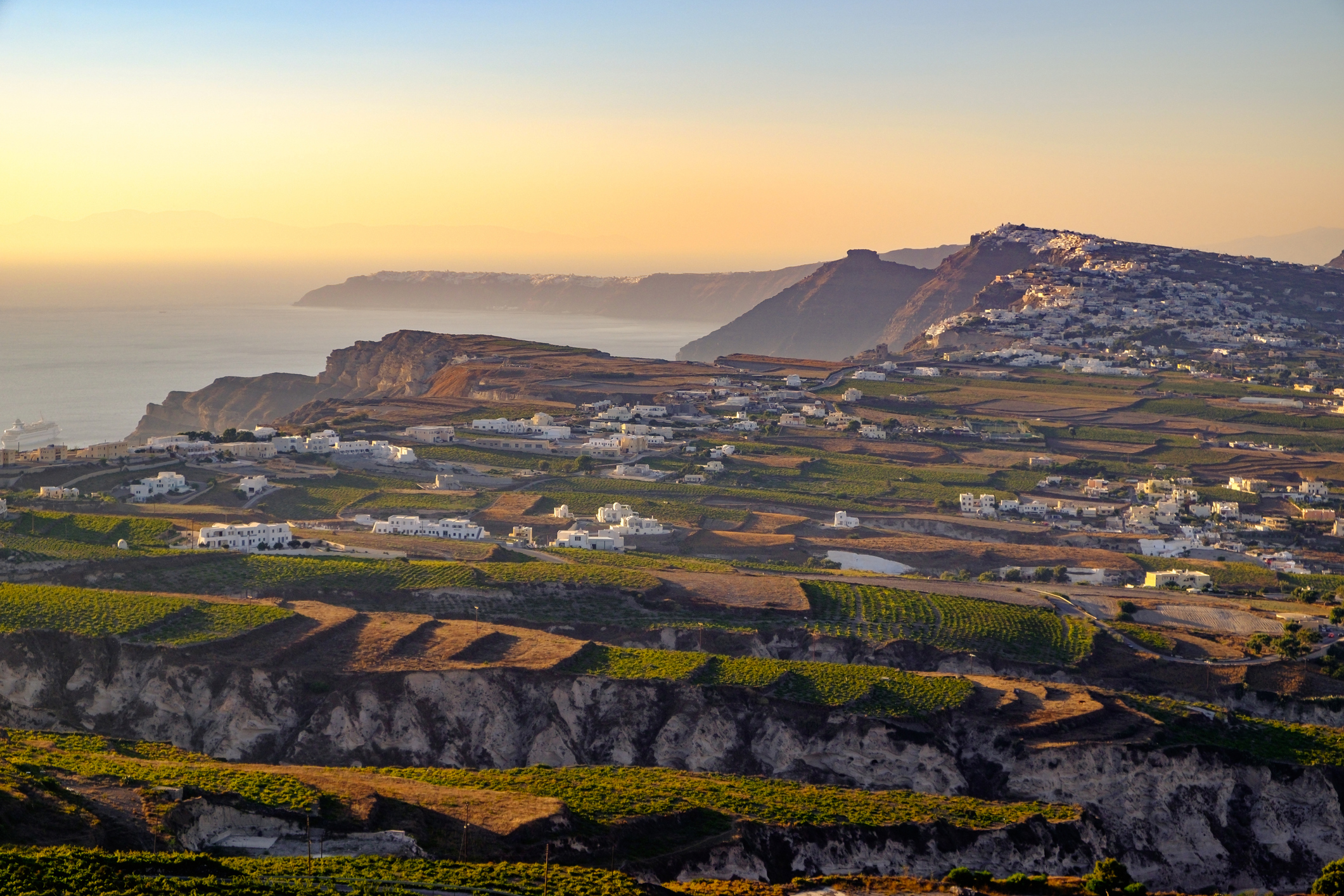 Santorini vineyard
