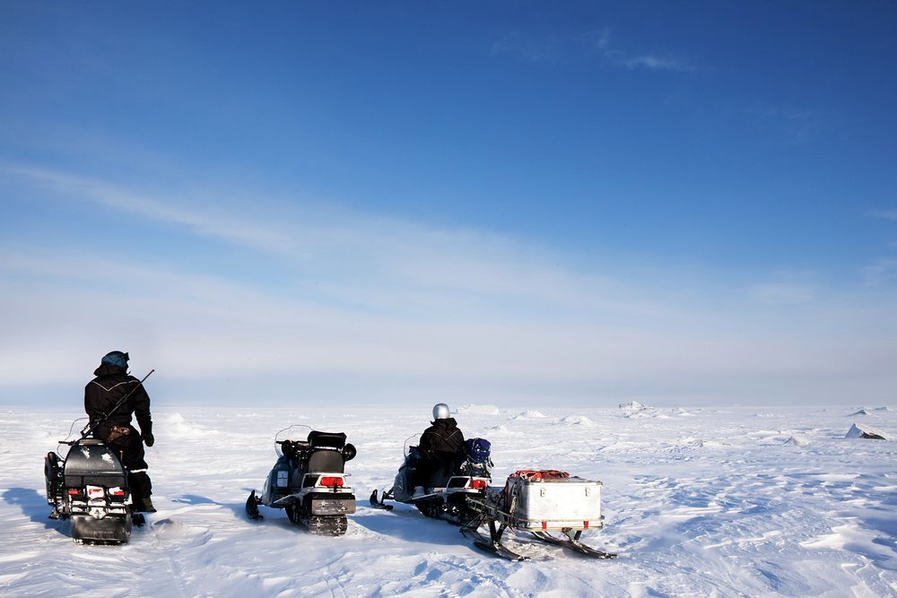 Svalbard is your gateway to a genuine Arctic wilderness where you can track polar bears with the help of an expert guide