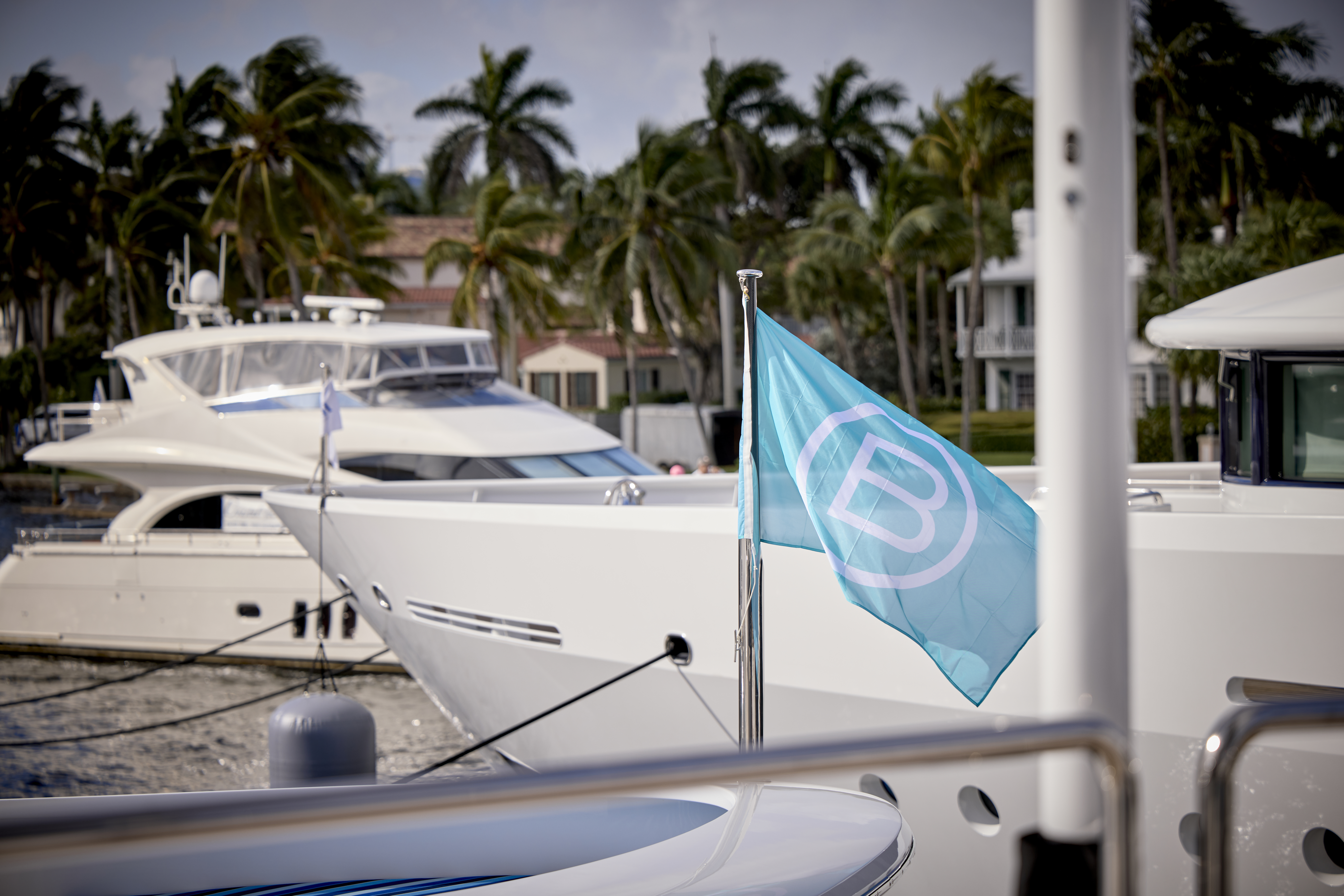 FLIBS