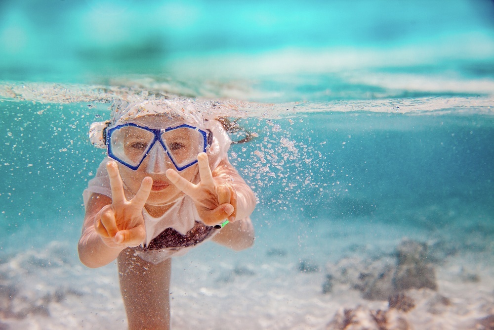 Get to know the marine kingdom and understand why we must work to protect it