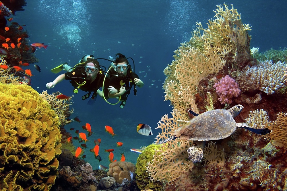 Take advantage of the on board scuba equipment and go for a deep dive