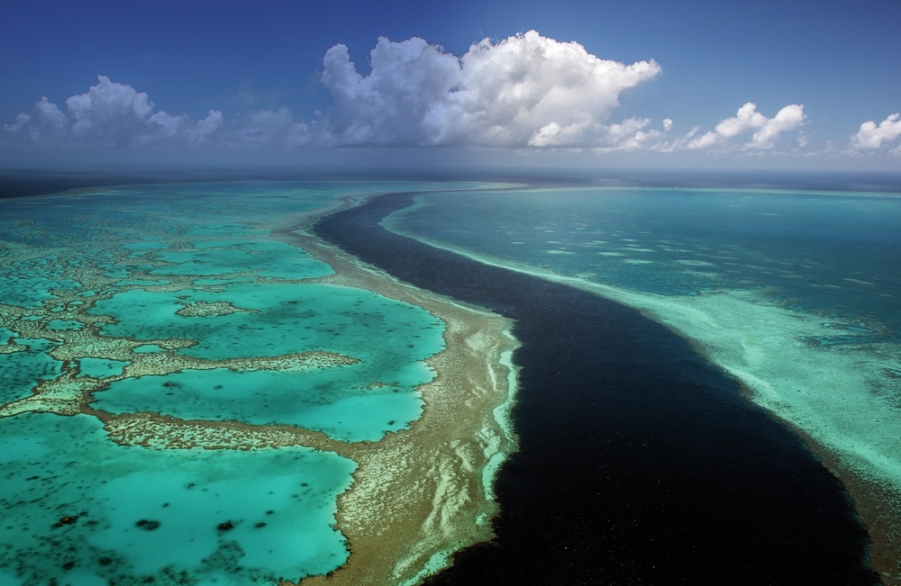 The Great Barrier Reef makes Australia a bucket-list destination for sport fishing fans