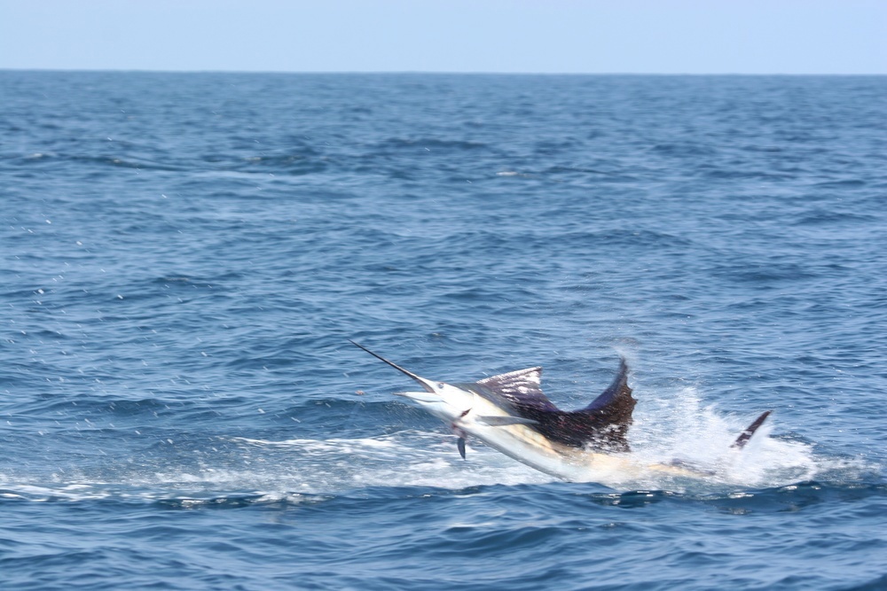 Fishing in Costa Rica promises exhilarating sport