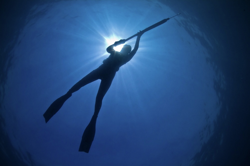 Spearfishing while freediving, Bahamas-style
