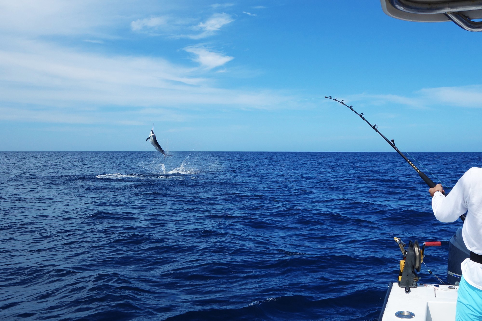 Fishing Bahamas