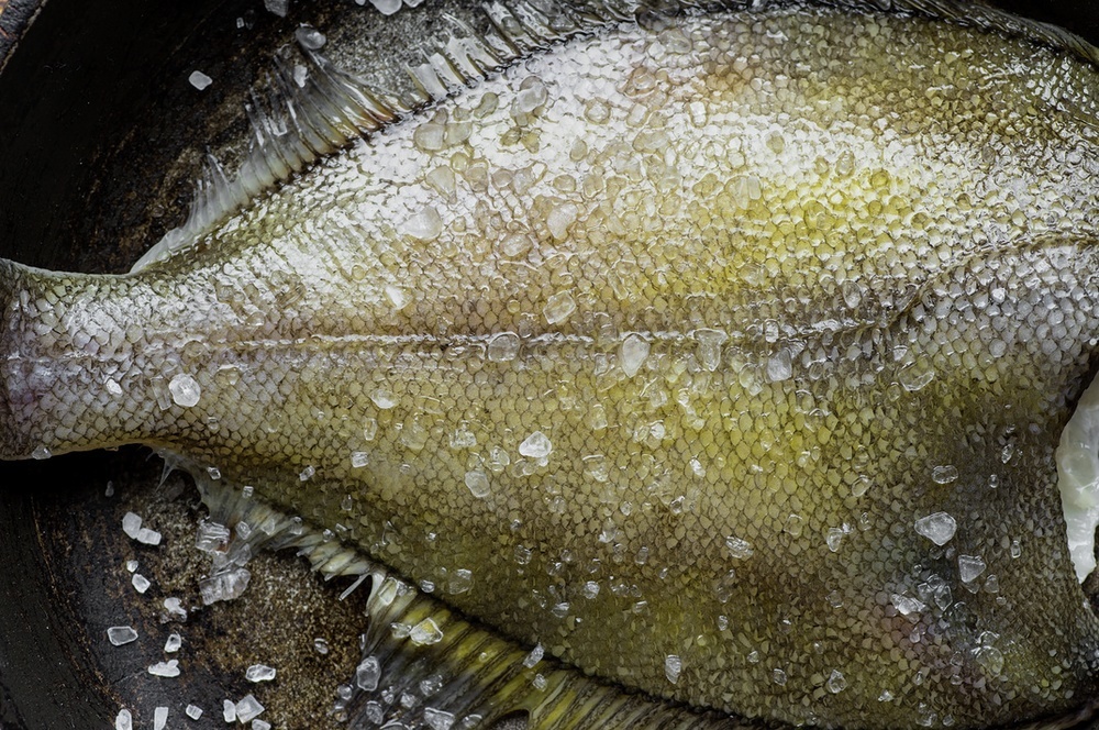 Flat fish seafood Bahamas