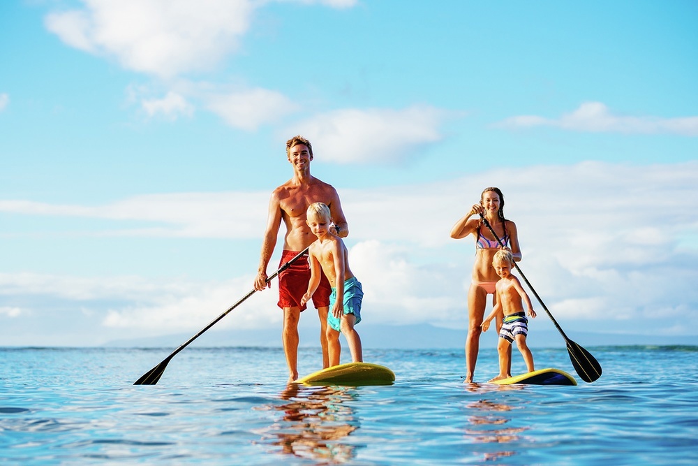 For something less high-octane, try a family paddleboard safari