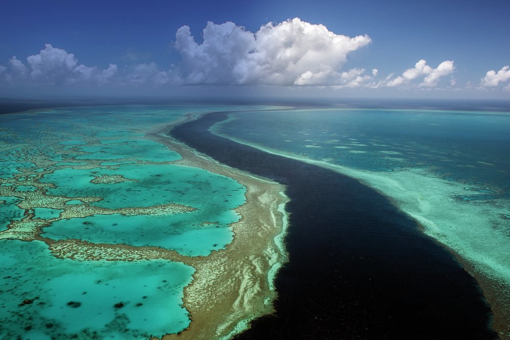Australia's Great Barrier Reef is the world's largest