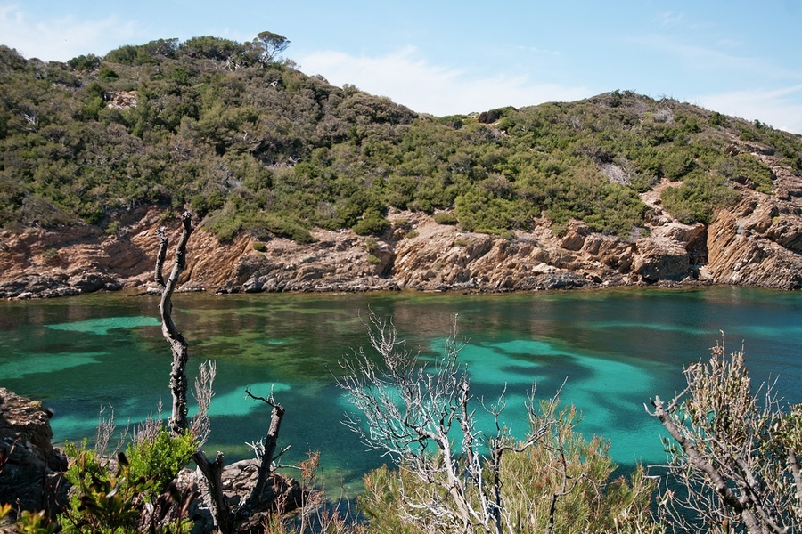 Ile de Port-Cros is a marine reserve of the south coast of France