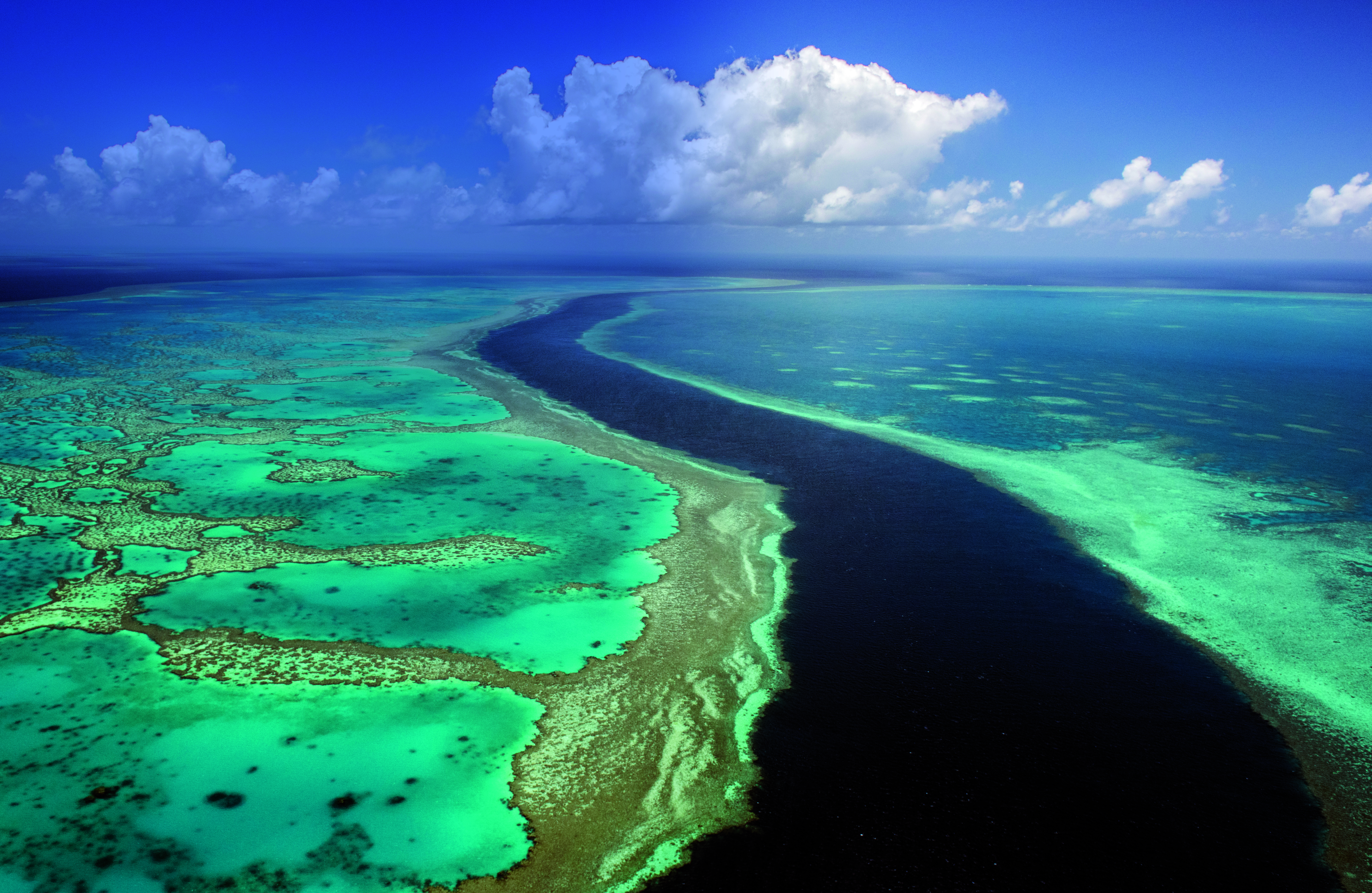 Great Barrier Reef Australia