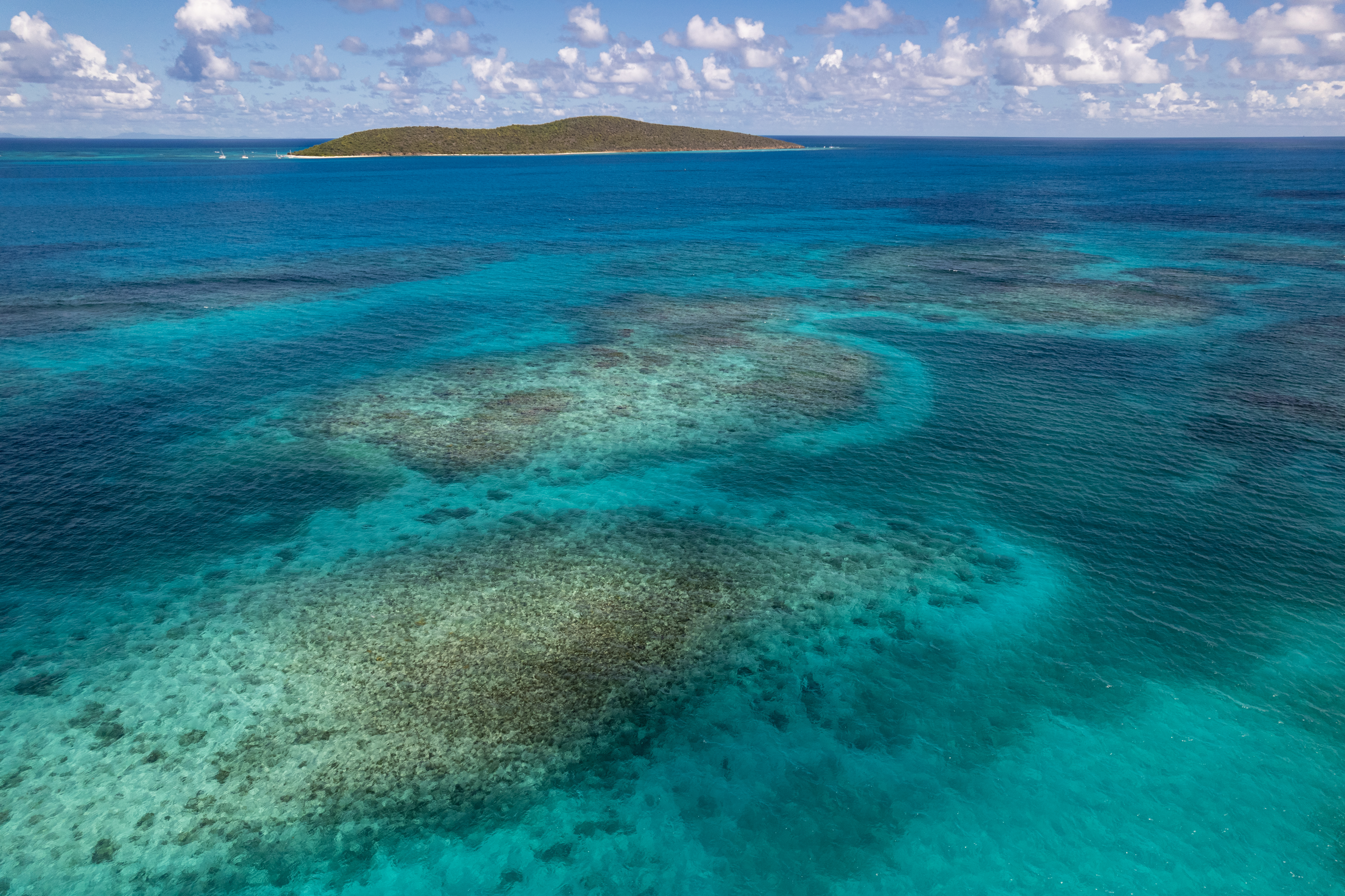 Buck Island USVI