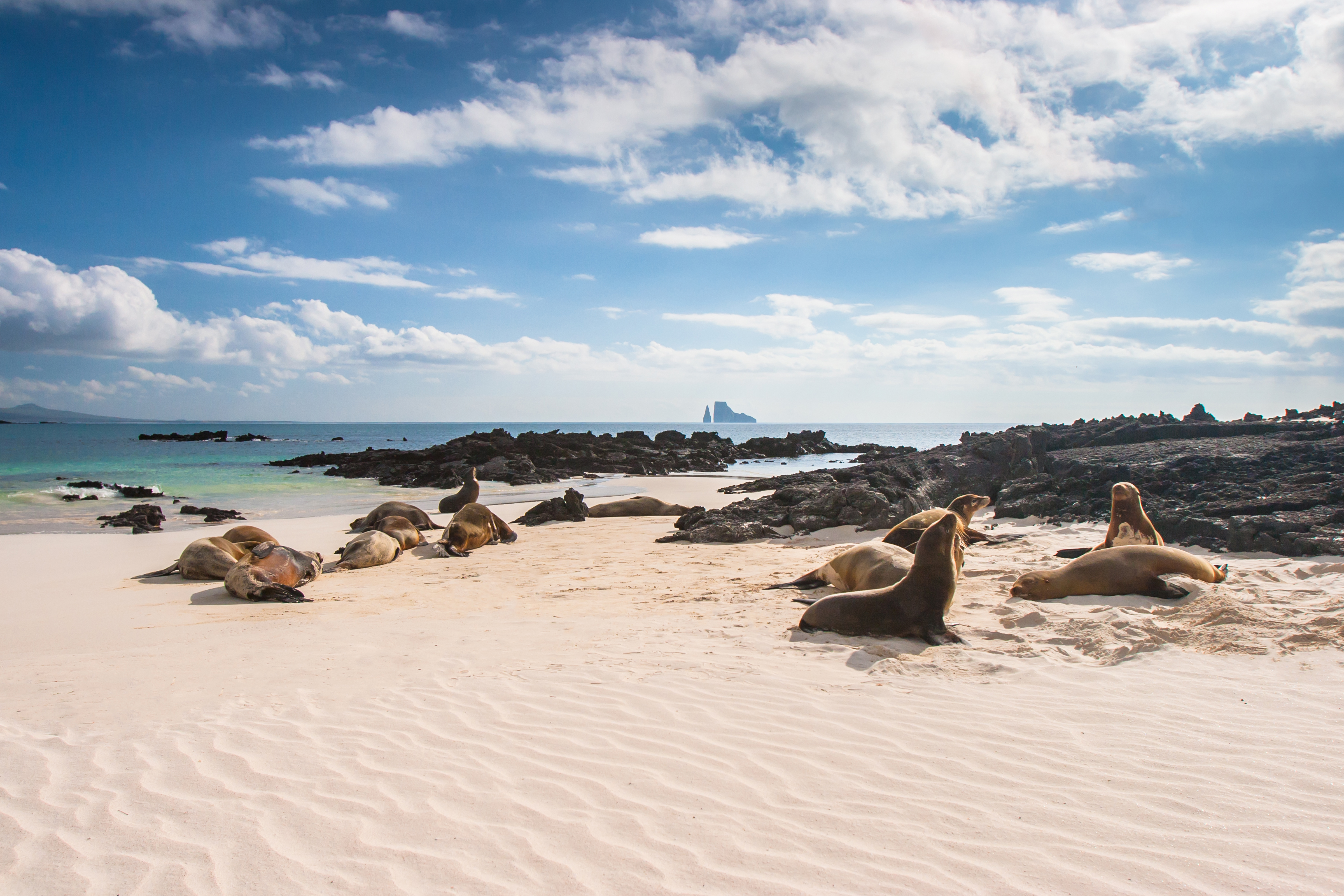 Galapagos beach