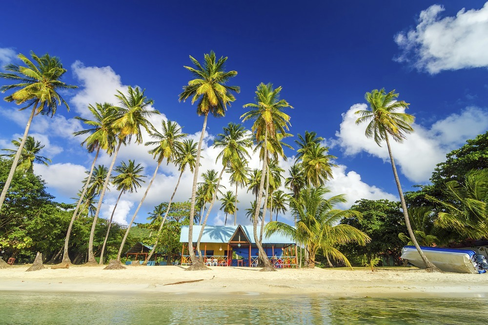See a beach bar - drop anchor!