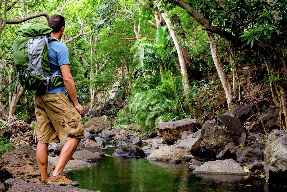 Take a trek inland to find the wild side of the Caribbean