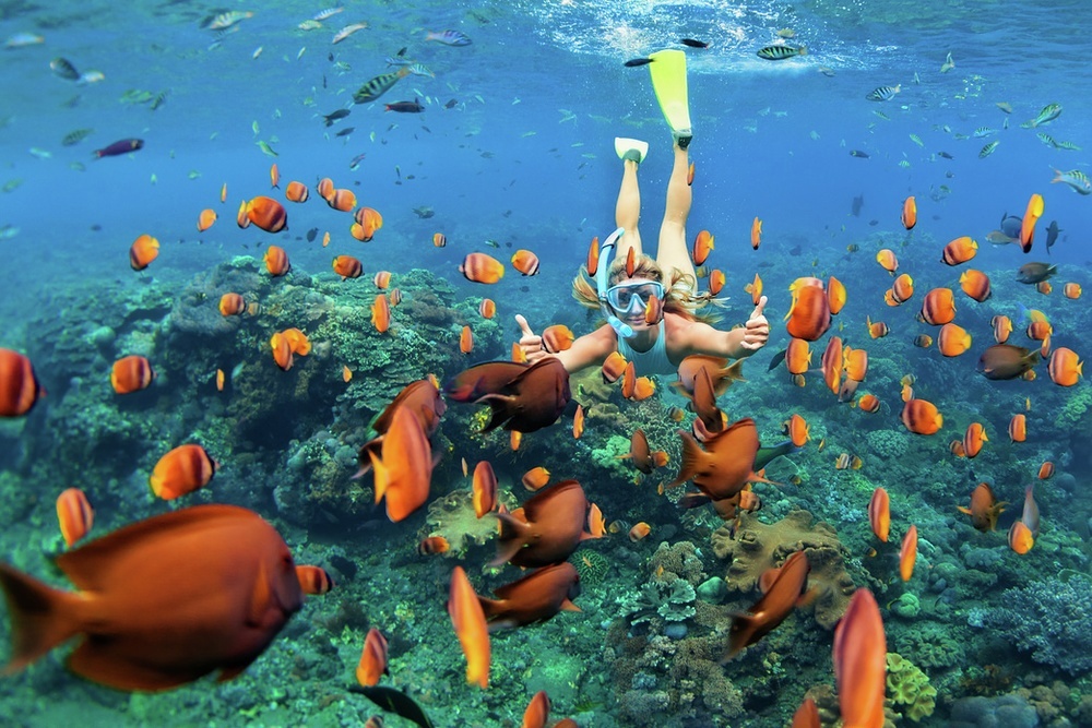 The shallow Tobago Cays are ideal for snorkelling