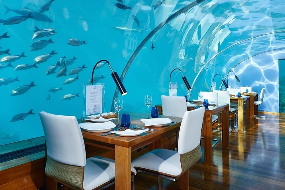Shoals of fish swim by as you dine at the Ithaa Undersea Restaurant