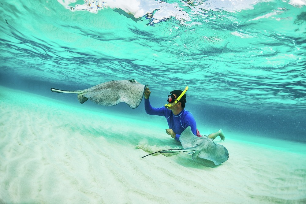 Tick 'swimming with rays' off your bucket list