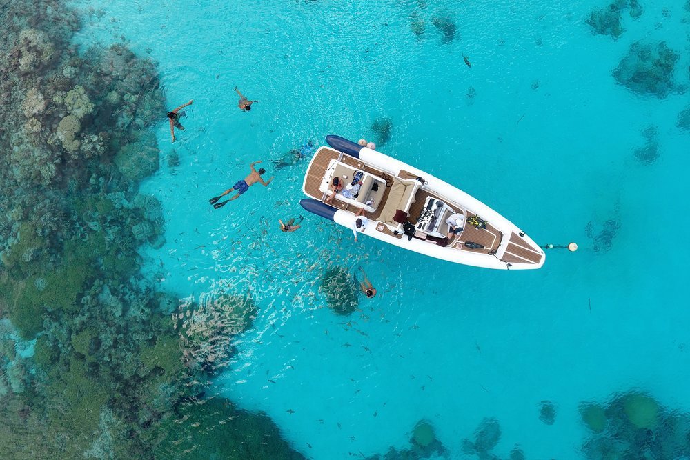 Whether diving or snorkelling, there is so much to see