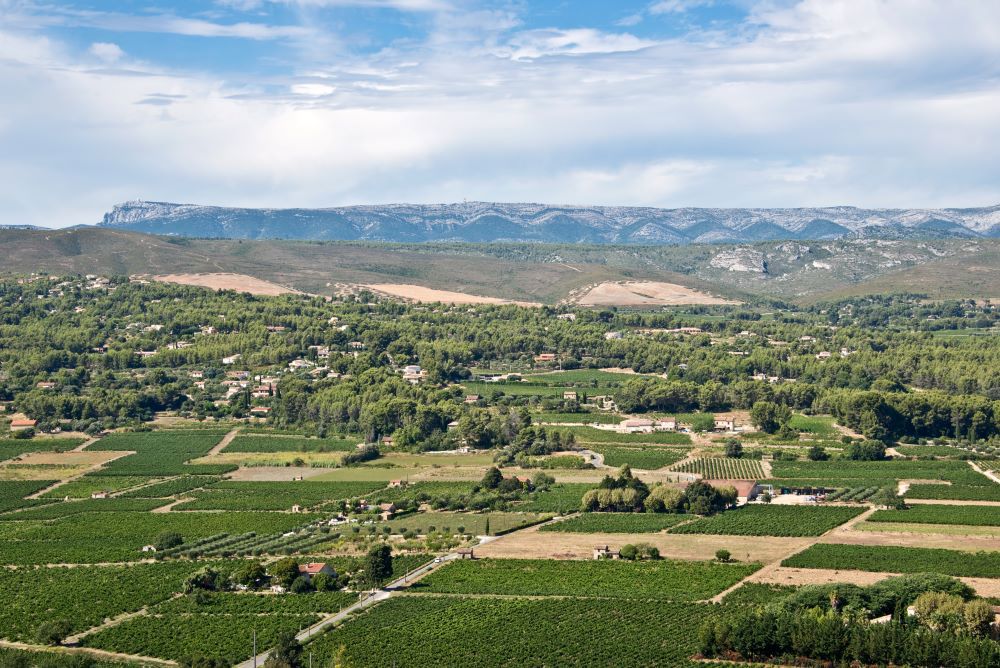 Vineyard in Bandol, France
