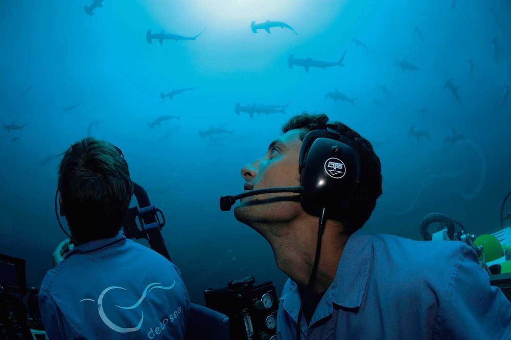 The refractive index of the acrylic hull is very close to seawater so there is negligible distortion