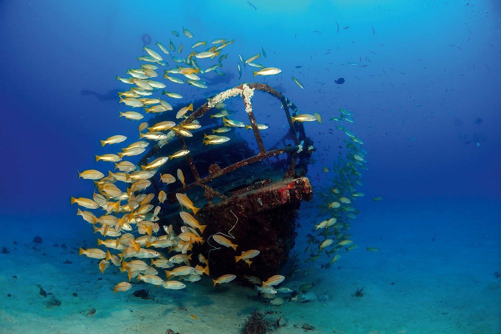 Exploring wrecks by submersible is a completely different experience