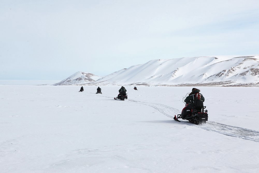 Find the local wildlife with a guided snowmobile tour