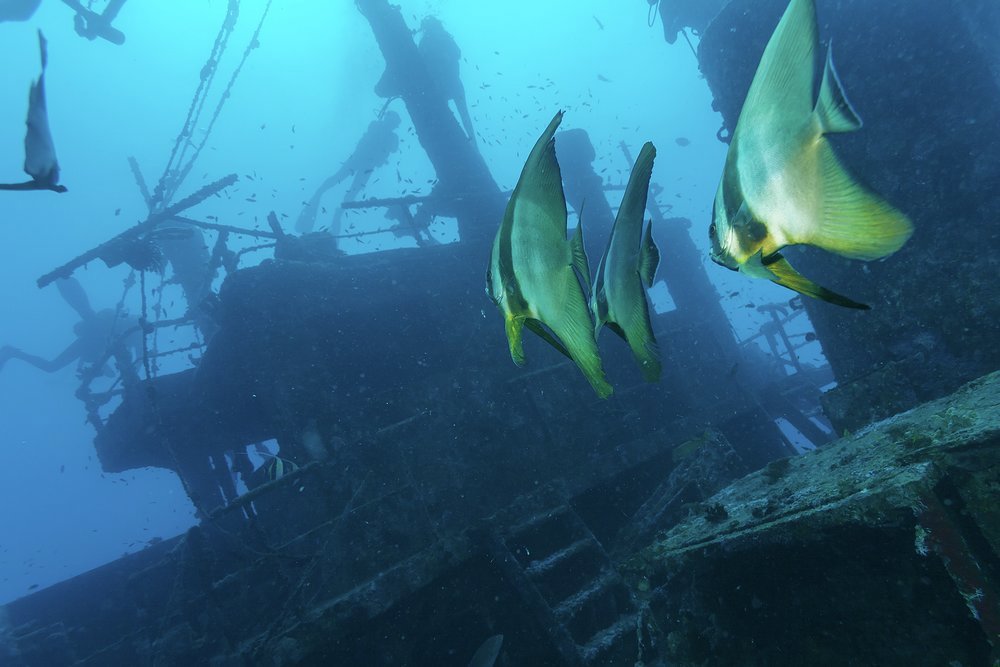 The wrecks of sunken ships are still there to explore