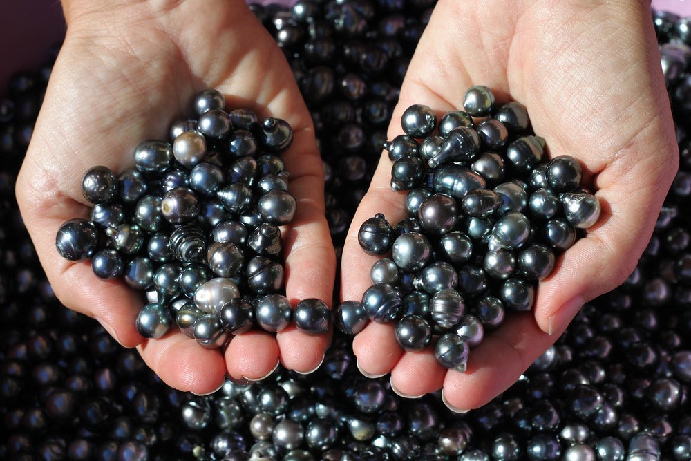 Black pearls from French Polynesia