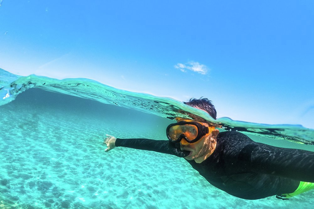 Discover the underwater world