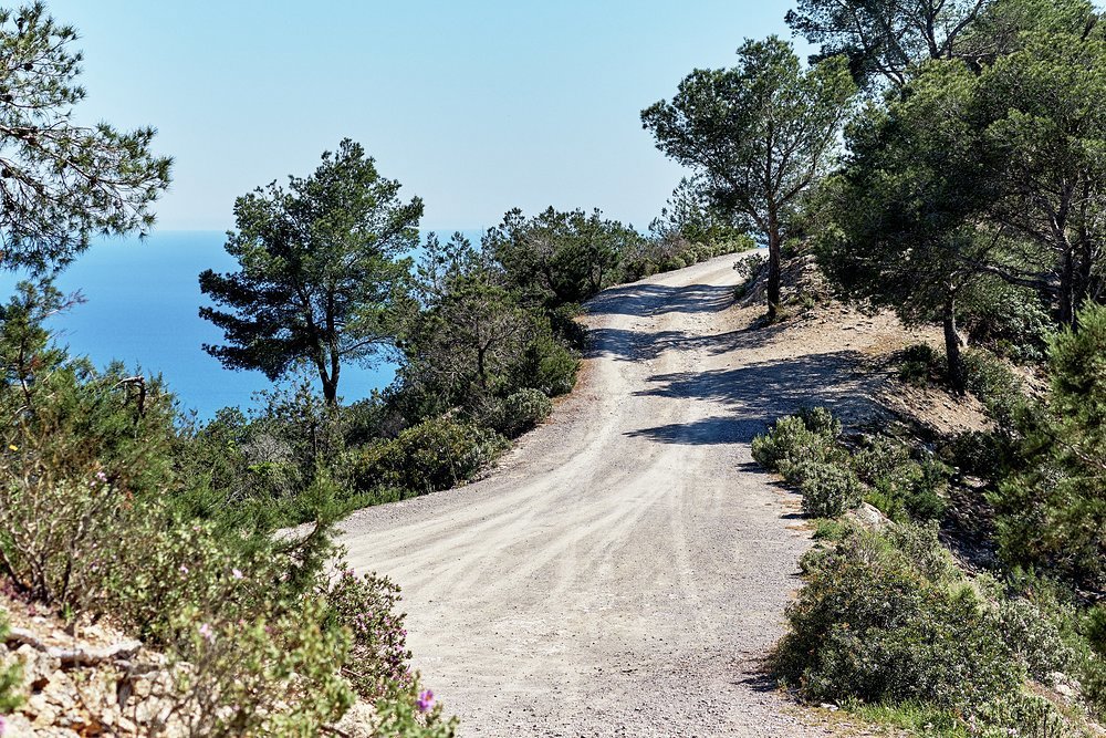 Serious hikers will grow familiar with the pine-scented interior