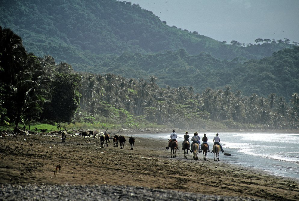 Go horse-riding next to the Pacific Ocean along unspoilt Tambor Beach